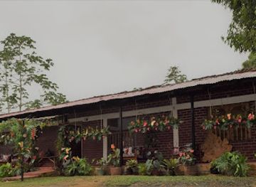 colombia/cauca-valley/shop/organico-follajes-y-flores-off