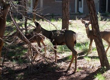 arizona/grand-canyon-village/shop/grand-canyon-community-recreation-center