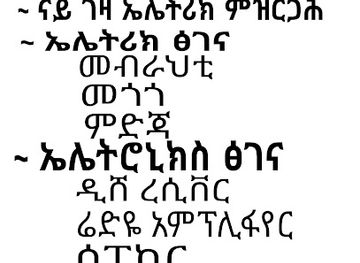 ethiopia/tigray-region/shop/angetake-electrice-shop