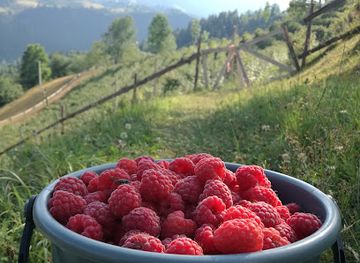 romania/apuseni-mountains/shop/gradina-motilor