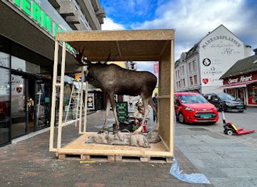 norway/finnmark-plateau/shop/the-northern-lights-giftshop-cinema