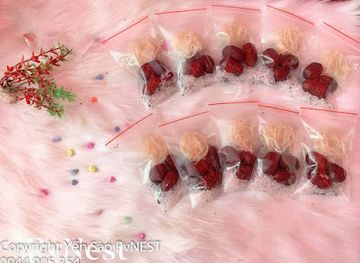 vietnam/central-highlands/shop/yen-sao-pvnest-co-so-san-xuat-yen-sao-thien-nhien