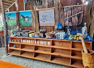 dominican-republic/samana-peninsula/shop/las-ballenas-premium-cigars