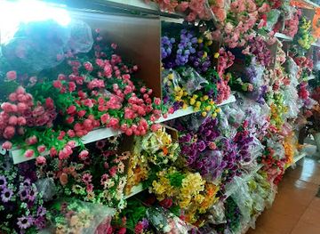 samoa/upolu-island/shop/gsi-shop