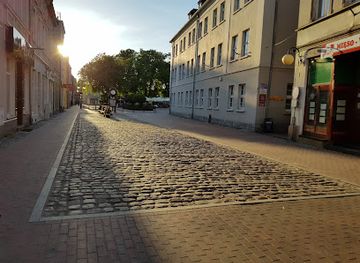 poland/bory-tucholskie/shop/tuchola-forest