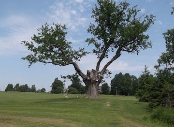 estonia/otepaa-ski-resort/shop/puhajarve-sojatamm