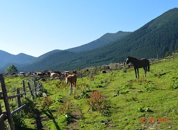 ukraine/svydovets-mountains/shop/kolyba-smotrych