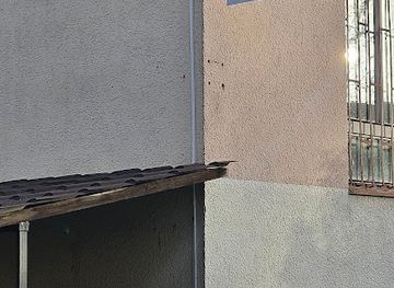 slovakia/orava/shop/r-market