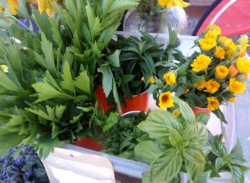 colorado/alamosa/shop/slv-apothecary