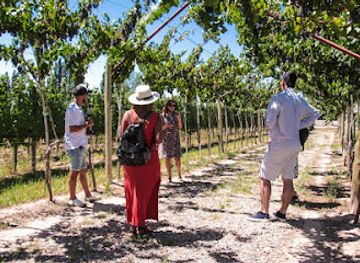 argentina/cuyo/shop/bodega-gieco-giorgio-gieco