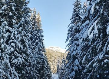 washington/snoqualmie-pass/shop/snoqualmie-pass