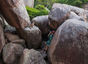 australia/magnetic-island/shop/magnetic-island-promotions