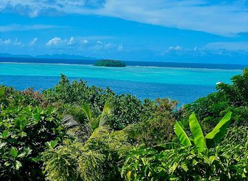 french-polynesia/society-islands/shop/ltb-fenua-organic-farm-camping