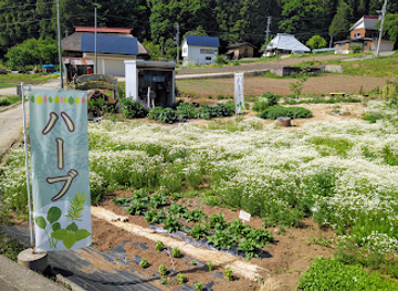 japan/shinano/shop/kurumaya