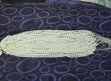 india/kanyakumari/shop/m-k-m-gems-pearls-sea-shell-mart