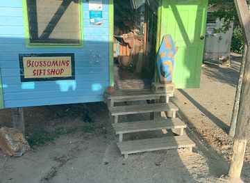 belize/vaca-plateau/shop/blossoming-gift-shop