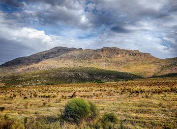 south-africa/cederberg-mountains/shop/skimmelberg-buchu-and-rooibos