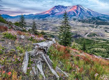 washington/mount-st-helens-area/shop/mount-saint-helens-national-volcanic-monument