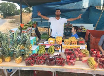 israel/hod-hasharon/shop/hakfariya-shel-gingi