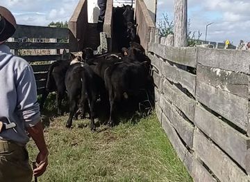 uruguay/sierras-de-carape/shop/local-agropecuaria-de-aigua