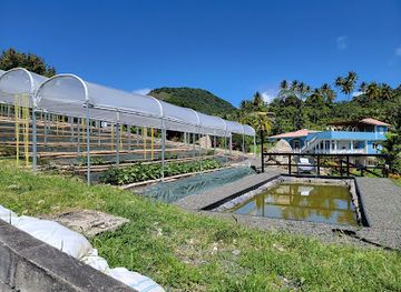 saint-lucia/fond-doux-estate/shop/project-chocolat