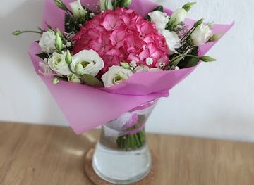 czechia/jeseniky/shop/orchidea-a-fantazie