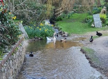 guernsey/st-saviour/shop/blooms-of-guernsey