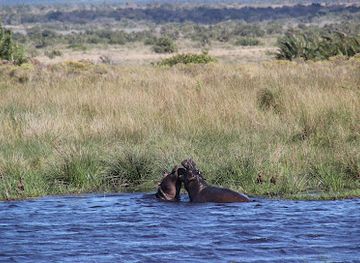 south-africa/isimangaliso-wetland-park/shop/isimangaliso-wetland-park