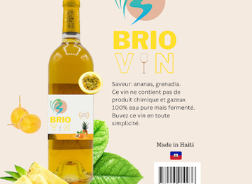 haiti/ile-a-vache/shop/brionline-store