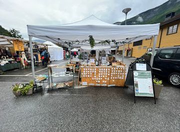 norway/flam/shop/arthousefern