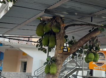 mayotte/chirongui/shop/sandi-distributions