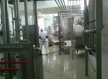 kyrgyzstan/talas-region/shop/syr-zavod-ozon-ata