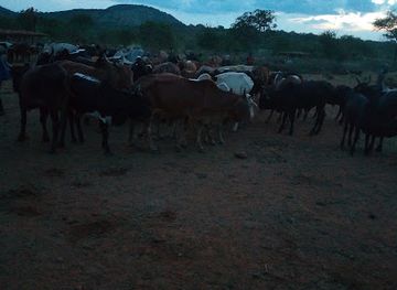 tanzania/singida/shop/komboi-general-store