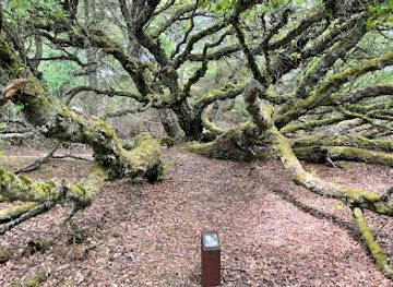 denmark/thy-national-park/shop/thagaards-plantage