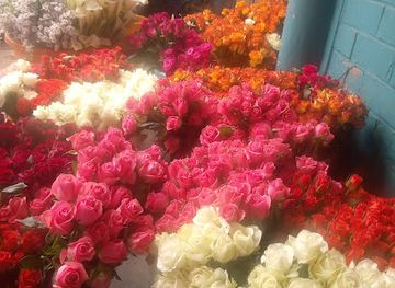 rwanda/kigali-province/shop/kigaligifts