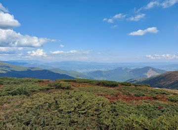 ukraine/dragobrat/shop/drahobrat