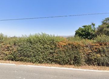 chile/maipo-valley/shop/robba-rossi