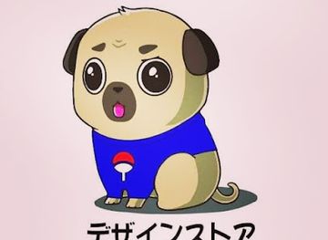 mexico/guadalajara/shop/design-store