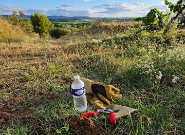 france/languedoc-roussillon/shop/les-robes-noires