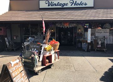 california/modesto/shop/vintage-holes