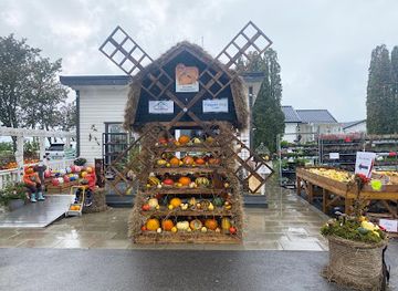 sweden/oland/shop/lily-algutsrum