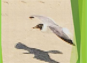 jamaica/morant-bay-area/shop/blue-and-the-bonnets