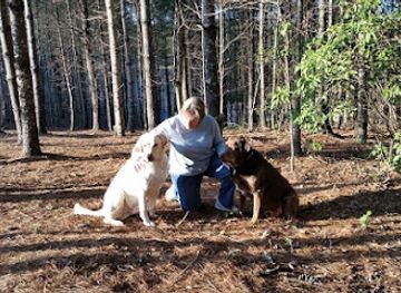 virginia/assateague-island/shop/lotts-arts-things