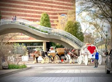 tennessee/chattanooga-riverfront/shop/chattanooga-river-market