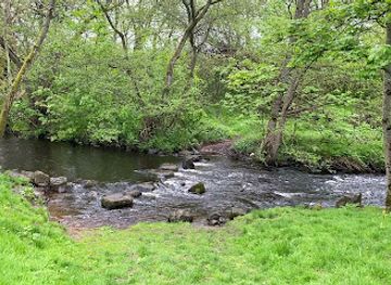 united-kingdom/kincardineshire/shop/hidden-scotland-shop
