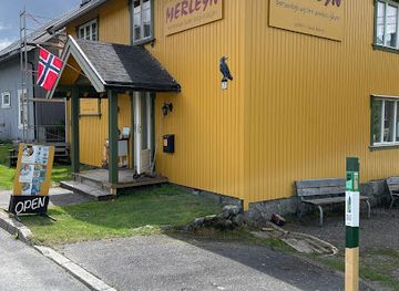 norway/telemark/shop/merleyn