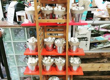 florida/tallahassee/shop/secondhand-sandies