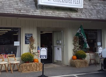 maine/lincoln-county/shop/chickadee-flea