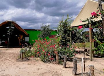 botswana/linyanti-wildlife-reserve/shop/afro-ville