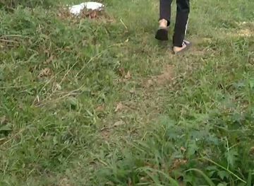 vietnam/tam-dao/shop/sim-ly-tuong